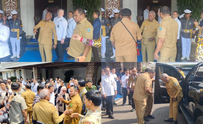 foto slider headline