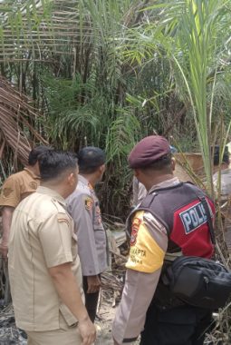 berita-rekomendasi-foto