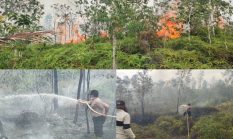 berita-pilihan-foto